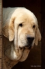 Filename=jorge_arevalo.jpg
Filesize=71KiB
Dimensions=640x960
Date added=%585 %13, %2017 jorge_arevalo.jpg