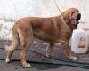 Filename=jorgete.jpg
Filesize=35KiB
Dimensions=600x483
Date added=%808 %24, %2007 jorgete.jpg