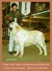 Filename=jorgito_1987.jpg
Filesize=74KiB
Dimensions=712x960
Date added=%618 %07, %2017 jorgito_1987.jpg