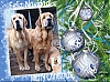 Filename=jose_antonio_barrio_garcia.jpg
Filesize=132KiB
Dimensions=702x520
Date added=%048 %01, %2021 jose_antonio_barrio_garcia.jpg