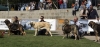 Filename=jov-hembras1.jpg
Filesize=138KiB
Dimensions=1500x709
Date added=%843 %28, %2008 jov-hembras1.jpg