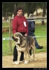 Filename=juglardegalisancho.jpg
Filesize=43KiB
Dimensions=450x642
Date added=%510 %23, %2006 juglardegalisancho.jpg