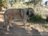 Filename=kas.jpg
Filesize=71KiB
Dimensions=670x502
Date added=%714 %02, %2019 kas.jpg