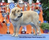 Filename=keva_world_ch_2015.jpg
Filesize=408KiB
Dimensions=2048x1659
Date added=%853 %28, %2016 keva_world_ch_2015.jpg