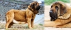 Filename=kurda.jpg
Filesize=416KiB
Dimensions=927x401
Date added=%701 %08, %2015 kurda.jpg