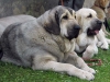 Filename=kv08-linda,lois.jpg
Filesize=71KiB
Dimensions=664x500
Date added=%867 %21, %2008 kv08-linda,lois.jpg