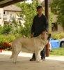 Filename=kv09-lois5.jpg
Filesize=94KiB
Dimensions=510x550
Date added=%699 %19, %2009 kv09-lois5.jpg