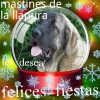Filename=la_llanura_xmas14.jpg
Filesize=56KiB
Dimensions=480x480
Date added=%067 %23, %2014 la_llanura_xmas14.jpg