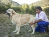 Filename=laciana6.jpg
Filesize=100KiB
Dimensions=960x720
Date added=%710 %08, %2015 laciana6.jpg