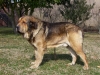 Filename=lario.jpg
Filesize=119KiB
Dimensions=604x457
Date added=%472 %29, %2006 lario.jpg