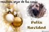 Filename=las_cañas_xmas14.jpg
Filesize=66KiB
Dimensions=800x533
Date added=%066 %23, %2014 las_cañas_xmas14.jpg