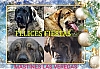 Filename=las_veredas.jpg
Filesize=445KiB
Dimensions=1600x1108
Date added=%927 %31, %2020 las_veredas.jpg