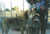 Filename=leon-vera.jpg
Filesize=19KiB
Dimensions=488x333
Date added=%437 %14, %2007 leon-vera.jpg