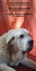 Filename=leona_13_years.jpg
Filesize=22KiB
Dimensions=246x480
Date added=%888 %28, %2016 leona_13_years.jpg