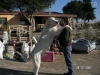 Filename=leonafatherjv9.jpg
Filesize=62KiB
Dimensions=640x480
Date added=%911 %06, %2008 leonafatherjv9.jpg