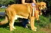 Filename=leonek6-(2).jpg
Filesize=92KiB
Dimensions=749x500
Date added=%421 %11, %2011 leonek6-(2).jpg