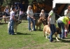 Filename=litomerice,bob,.jpg
Filesize=61KiB
Dimensions=607x425
Date added=%524 %22, %2007 litomerice,bob,.jpg