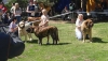 Filename=litomerice-bob,.jpg
Filesize=65KiB
Dimensions=695x397
Date added=%519 %22, %2007 litomerice-bob,.jpg