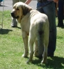 Filename=litomerice-ramonet,.jpg
Filesize=36KiB
Dimensions=422x454
Date added=%527 %22, %2007 litomerice-ramonet,.jpg