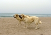 Filename=lois+roxana4.jpg
Filesize=100KiB
Dimensions=858x600
Date added=%948 %31, %2009 lois+roxana4.jpg