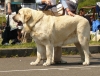 Filename=lois-b.jpg
Filesize=145KiB
Dimensions=722x550
Date added=%426 %16, %2009 lois-b.jpg