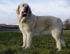 Filename=lois-glogow.jpg
Filesize=98KiB
Dimensions=706x550
Date added=%696 %12, %2008 lois-glogow.jpg
