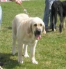 Filename=lois-winner2.jpg
Filesize=14KiB
Dimensions=284x298
Date added=%427 %27, %2008 lois-winner2.jpg