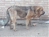 Filename=lorena-1.jpg
Filesize=97KiB
Dimensions=960x720
Date added=%524 %04, %2020 lorena-1.jpg