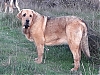 Filename=lorena-2.jpg
Filesize=150KiB
Dimensions=960x720
Date added=%524 %04, %2020 lorena-2.jpg