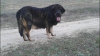 Filename=lorena.jpg
Filesize=47KiB
Dimensions=540x303
Date added=%119 %24, %2015 lorena.jpg