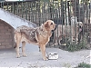 Filename=lorena~1.jpg
Filesize=123KiB
Dimensions=960x720
Date added=%524 %04, %2020 lorena~1.jpg