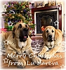 Filename=lu_dareva.jpg
Filesize=191KiB
Dimensions=909x960
Date added=%927 %31, %2020 lu_dareva.jpg