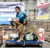 Filename=lupe_de_filandon-a.jpg
Filesize=160KiB
Dimensions=960x915
Date added=%626 %05, %2015 lupe_de_filandon-a.jpg