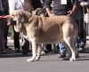 Filename=lyshanopen.jpg
Filesize=46KiB
Dimensions=700x573
Date added=%432 %04, %2006 lyshanopen.jpg