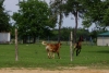 Filename=ma.jpg
Filesize=160KiB
Dimensions=737x500
Date added=%753 %01, %2007 ma.jpg