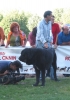 Filename=machossort.jpg
Filesize=35KiB
Dimensions=424x600
Date added=%580 %26, %2006 machossort.jpg