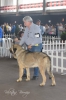 Filename=marano.jpg
Filesize=83KiB
Dimensions=640x960
Date added=%520 %16, %2015 marano.jpg