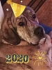 Filename=margareta_hamrer_alf_2020.jpg
Filesize=112KiB
Dimensions=720x960
Date added=%927 %31, %2020 margareta_hamrer_alf_2020.jpg