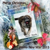 Filename=mastibe_xmas14.jpg
Filesize=185KiB
Dimensions=960x960
Date added=%056 %23, %2014 mastibe_xmas14.jpg