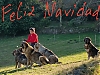 Filename=mastines_terra_de_montes.jpg
Filesize=219KiB
Dimensions=1440x1080
Date added=%927 %31, %2020 mastines_terra_de_montes.jpg