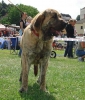 Filename=mb-chica.jpg
Filesize=58KiB
Dimensions=436x510
Date added=%702 %27, %2008 mb-chica.jpg