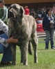 Filename=mb-holly.jpg
Filesize=38KiB
Dimensions=413x510
Date added=%702 %27, %2008 mb-holly.jpg