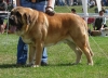 Filename=mb-zeus,a.jpg
Filesize=67KiB
Dimensions=624x454
Date added=%708 %27, %2008 mb-zeus,a.jpg