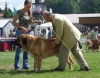 Filename=mb-zeus.jpg
Filesize=61KiB
Dimensions=582x454
Date added=%707 %27, %2008 mb-zeus.jpg