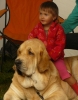 Filename=mb2010a-(2).jpg
Filesize=64KiB
Dimensions=930x1180
Date added=%952 %24, %2013 mb2010a-(2).jpg