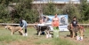 Filename=mejor2520cachorro2520hembra.jpg
Filesize=450KiB
Dimensions=800x412
Date added=%901 %22, %2019 mejor2520cachorro2520hembra.jpg