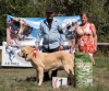 Filename=mejor2520cachorro2520macho.jpg
Filesize=658KiB
Dimensions=800x668
Date added=%901 %22, %2019 mejor2520cachorro2520macho.jpg