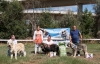 Filename=mejor2520muy2520cachorro2520macho.jpg
Filesize=505KiB
Dimensions=800x517
Date added=%901 %22, %2019 mejor2520muy2520cachorro2520macho.jpg