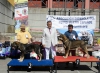 Filename=mejor_cachorro_absoluto.jpg
Filesize=145KiB
Dimensions=1000x738
Date added=%029 %04, %2015 mejor_cachorro_absoluto.jpg