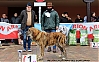 Filename=mejor_cachorro_del_concurso.jpg
Filesize=426KiB
Dimensions=2042x1281
Date added=%968 %12, %2019 mejor_cachorro_del_concurso.jpg